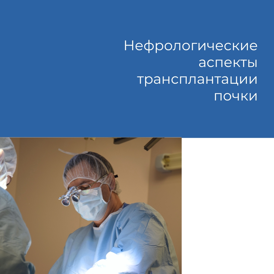 Нефрологические аспекты трансплантации почки
